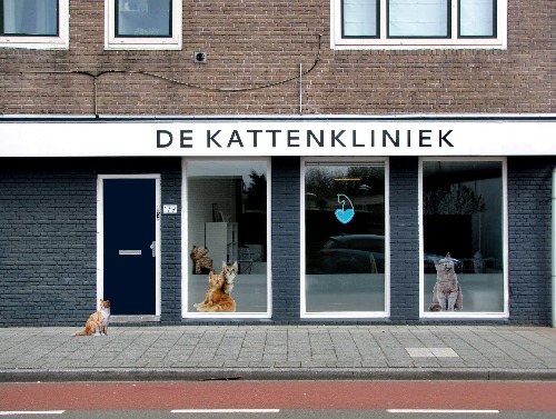 storefront of a cat clinic